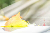 关数据并确 关数据并确