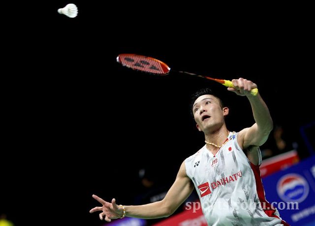 前景展望 前景展望