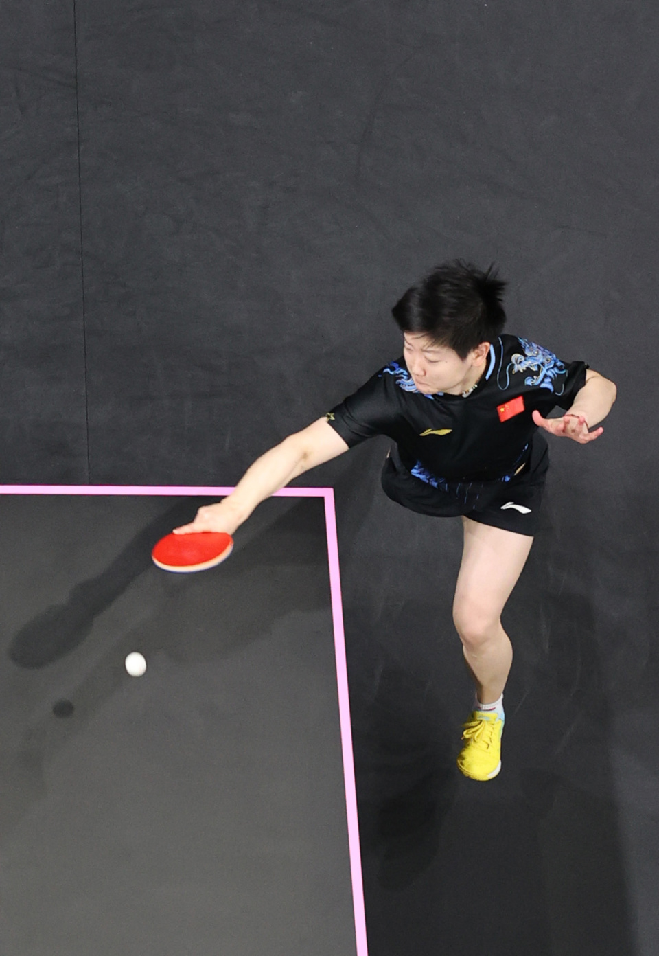 森林狼的进 森林狼的进