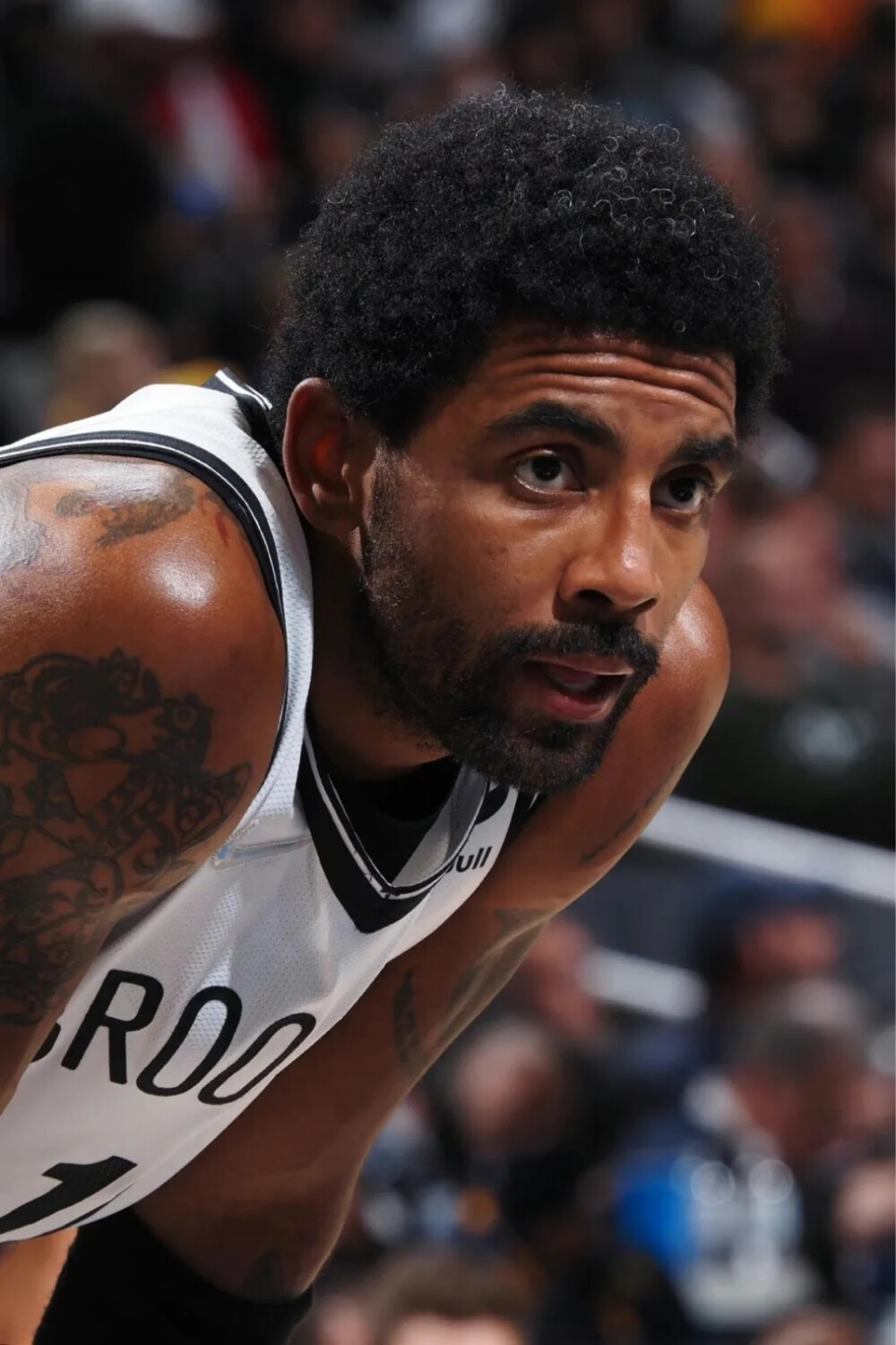 他们以3 他们以3